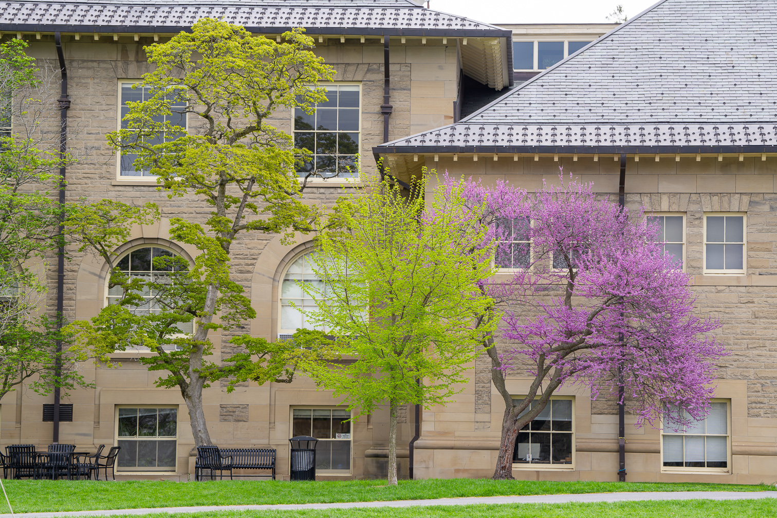 Spring in Pink